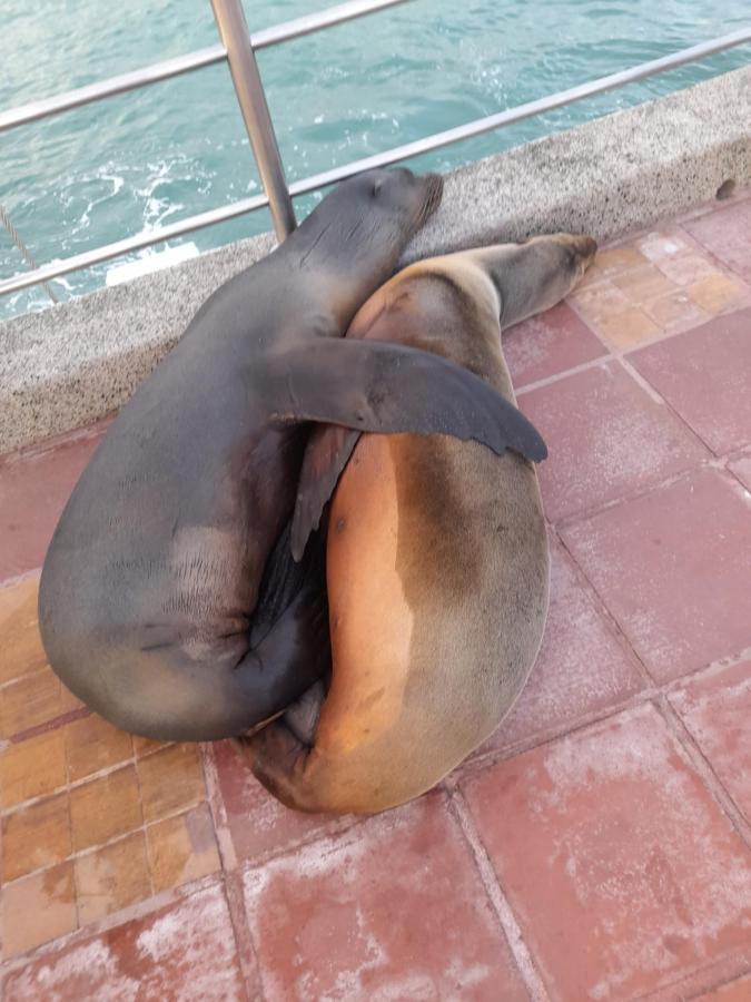 El Paraiso Puerto Ayora  Zewnętrze zdjęcie