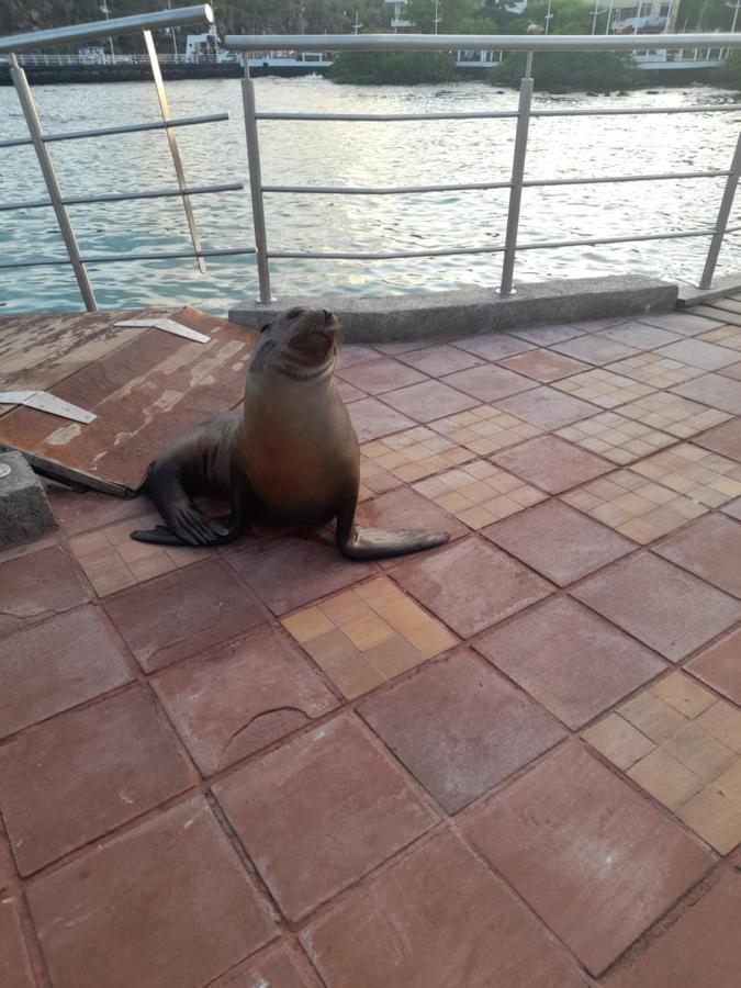 El Paraiso Puerto Ayora  Zewnętrze zdjęcie